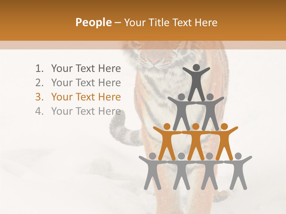 Siberian Tiger Wallpaper Hd PowerPoint Template