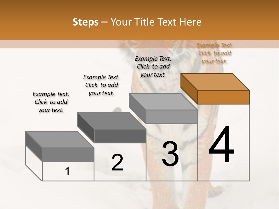 Siberian Tiger Wallpaper Hd PowerPoint Template