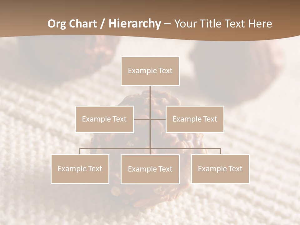 Chocolate Candy Brands PowerPoint Template