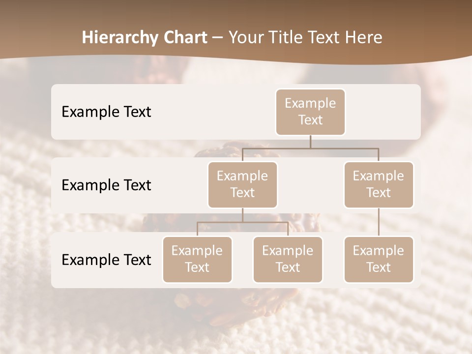 Chocolate Candy Brands PowerPoint Template