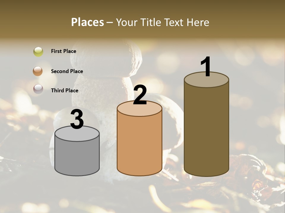 Bolete Cute Forest PowerPoint Template