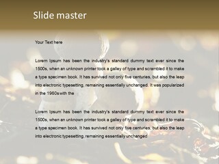 Bolete Cute Forest PowerPoint Template