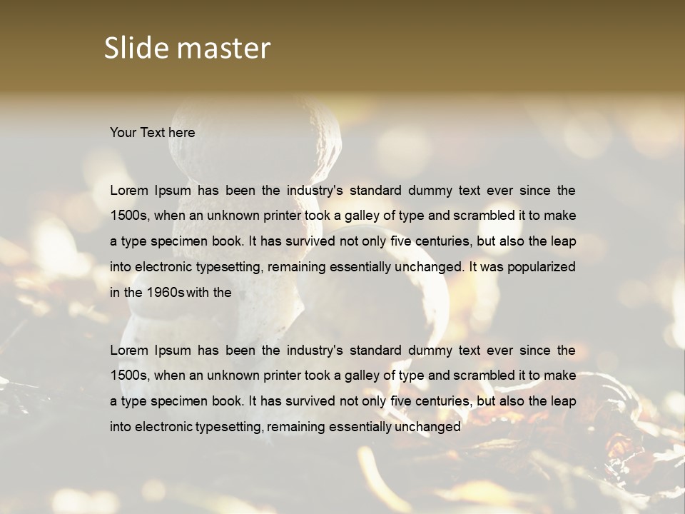 Bolete Cute Forest PowerPoint Template