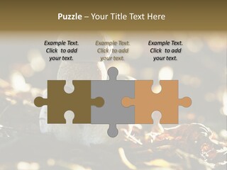 Bolete Cute Forest PowerPoint Template