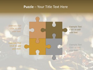 Bolete Cute Forest PowerPoint Template