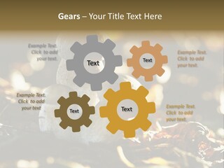 Bolete Cute Forest PowerPoint Template