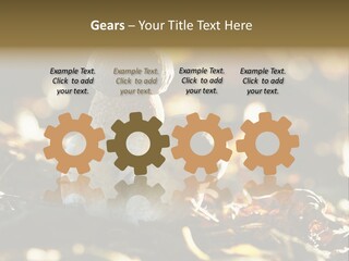 Bolete Cute Forest PowerPoint Template