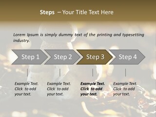 Bolete Cute Forest PowerPoint Template