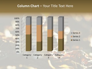 Bolete Cute Forest PowerPoint Template