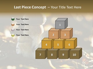 Bolete Cute Forest PowerPoint Template
