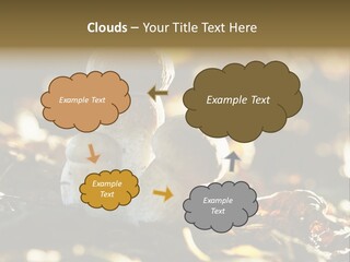 Bolete Cute Forest PowerPoint Template