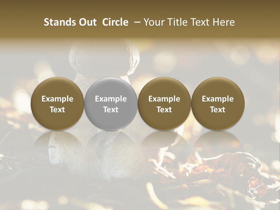 Bolete Cute Forest PowerPoint Template