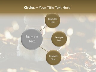 Bolete Cute Forest PowerPoint Template