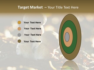 Bolete Cute Forest PowerPoint Template