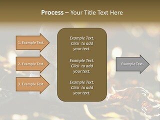 Bolete Cute Forest PowerPoint Template