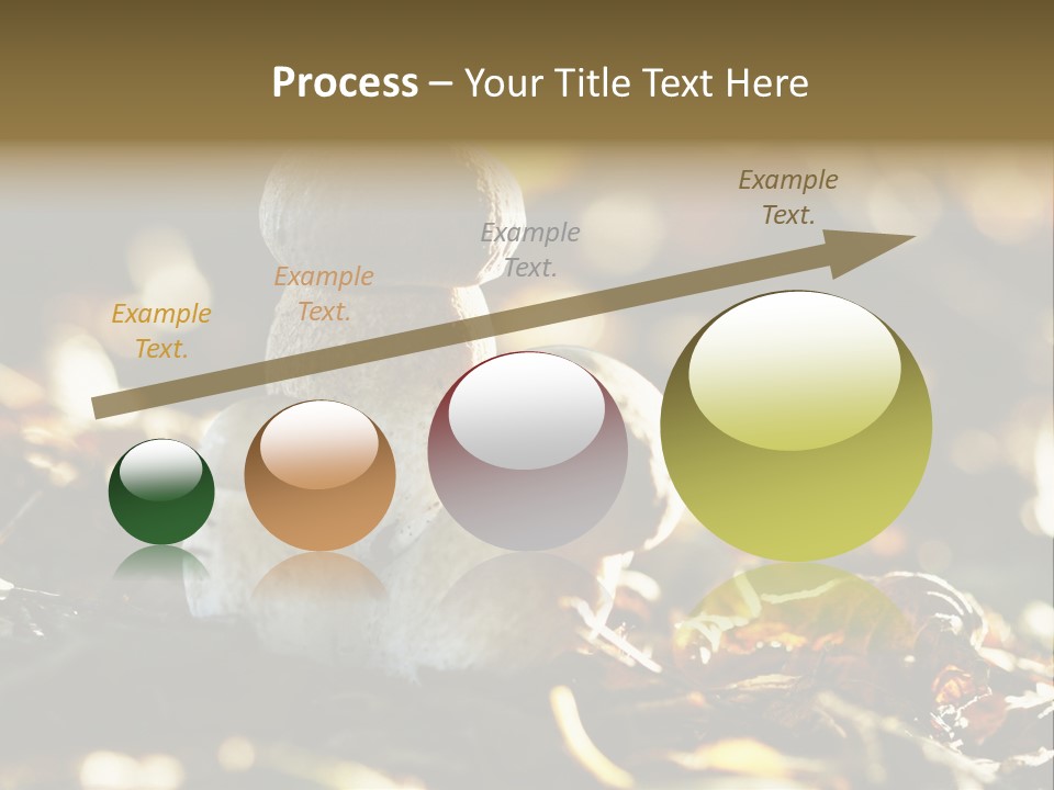 Bolete Cute Forest PowerPoint Template