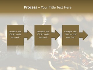 Bolete Cute Forest PowerPoint Template