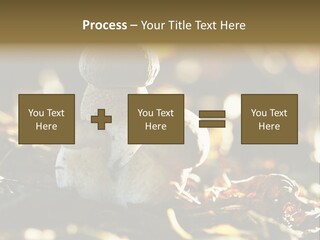 Bolete Cute Forest PowerPoint Template