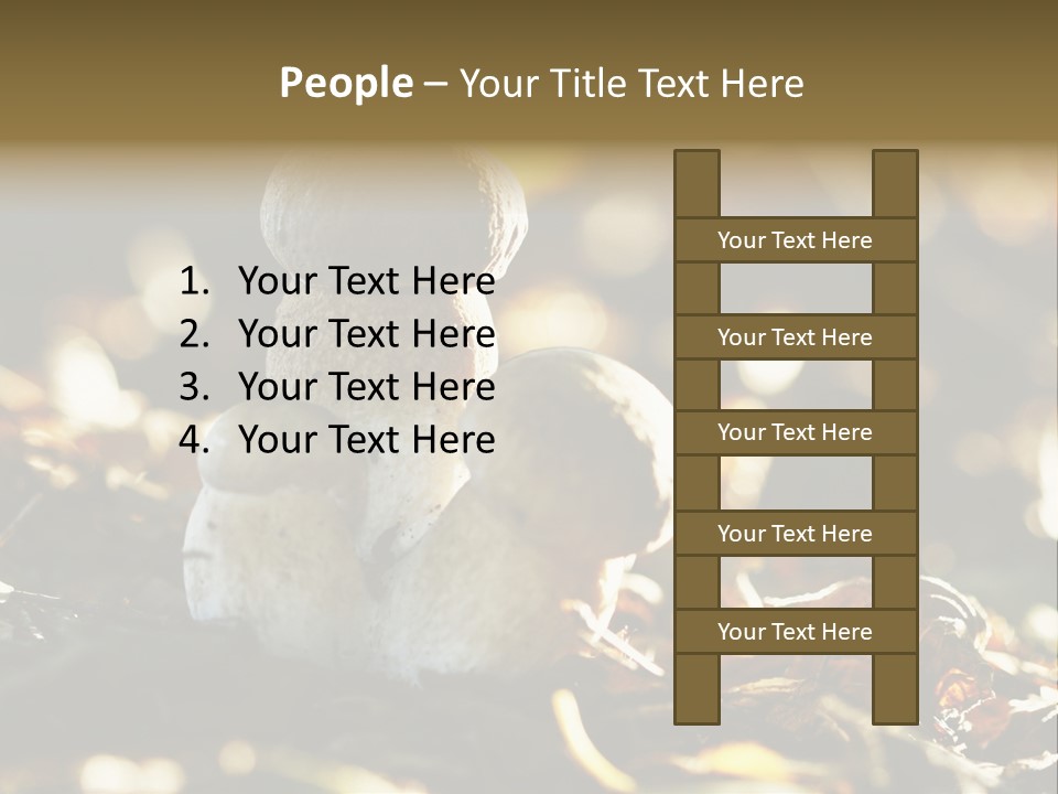 Bolete Cute Forest PowerPoint Template