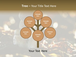 Bolete Cute Forest PowerPoint Template