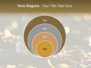 Bolete Cute Forest PowerPoint Template