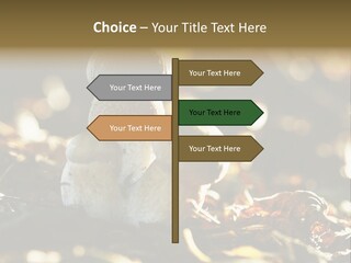 Bolete Cute Forest PowerPoint Template