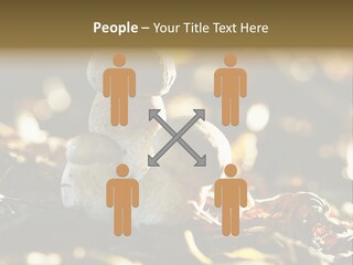 Bolete Cute Forest PowerPoint Template