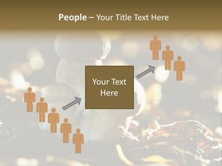 Bolete Cute Forest PowerPoint Template