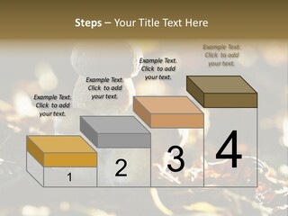 Bolete Cute Forest PowerPoint Template