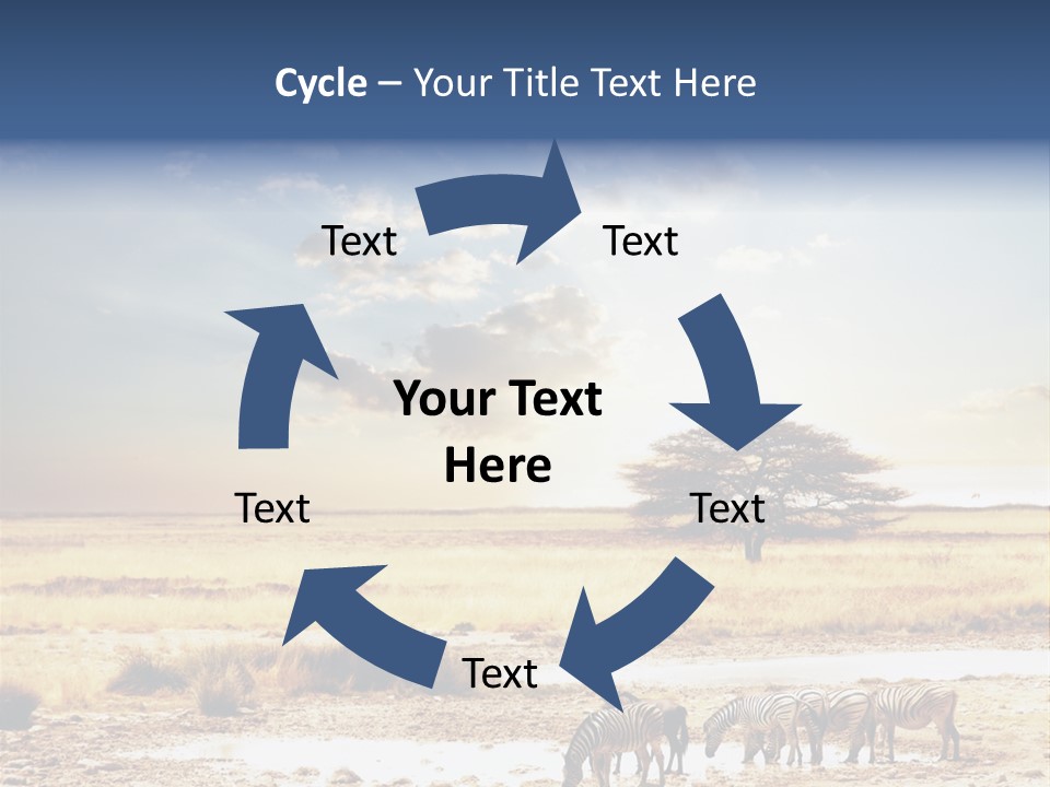 Zebra Safari PowerPoint Template