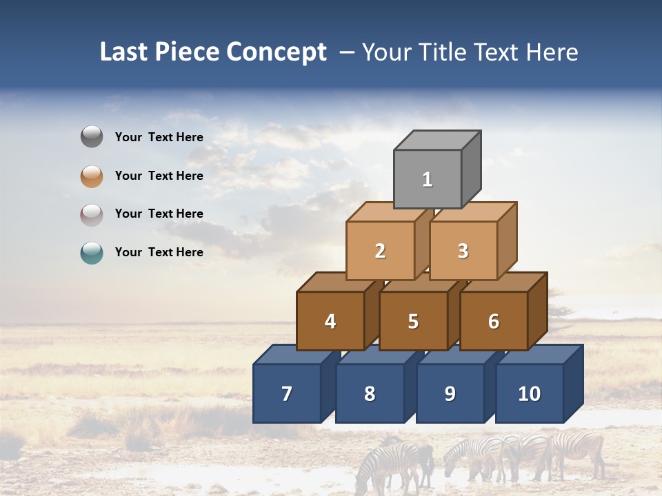 Zebra Safari PowerPoint Template