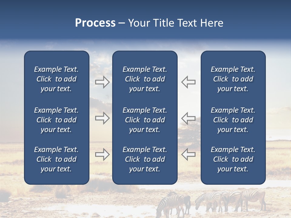 Zebra Safari PowerPoint Template