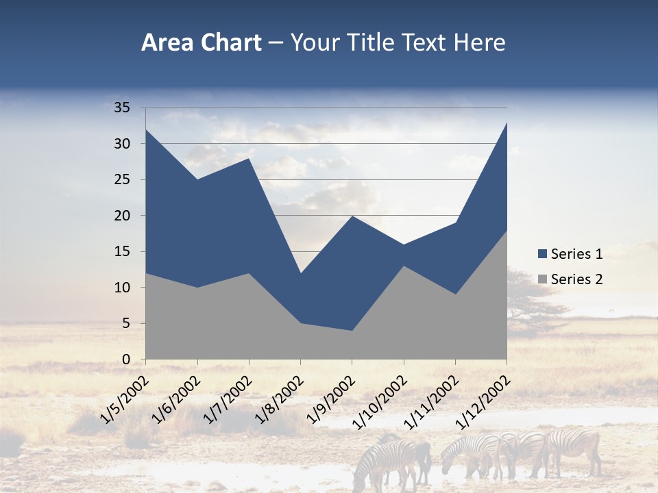 Zebra Safari PowerPoint Template