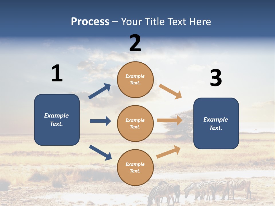 Zebra Safari PowerPoint Template