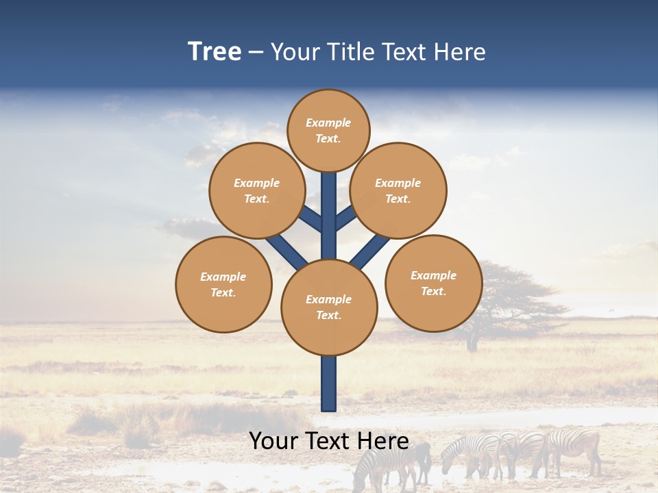 Zebra Safari PowerPoint Template