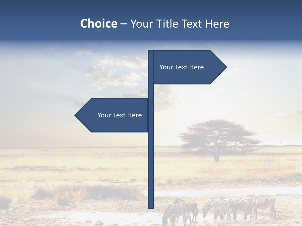 Zebra Safari PowerPoint Template