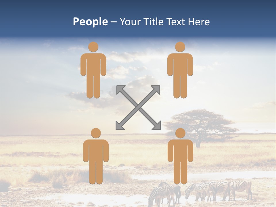 Zebra Safari PowerPoint Template