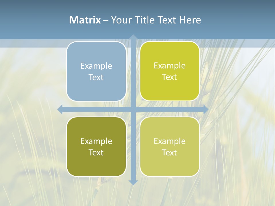 Wheat Green PowerPoint Template