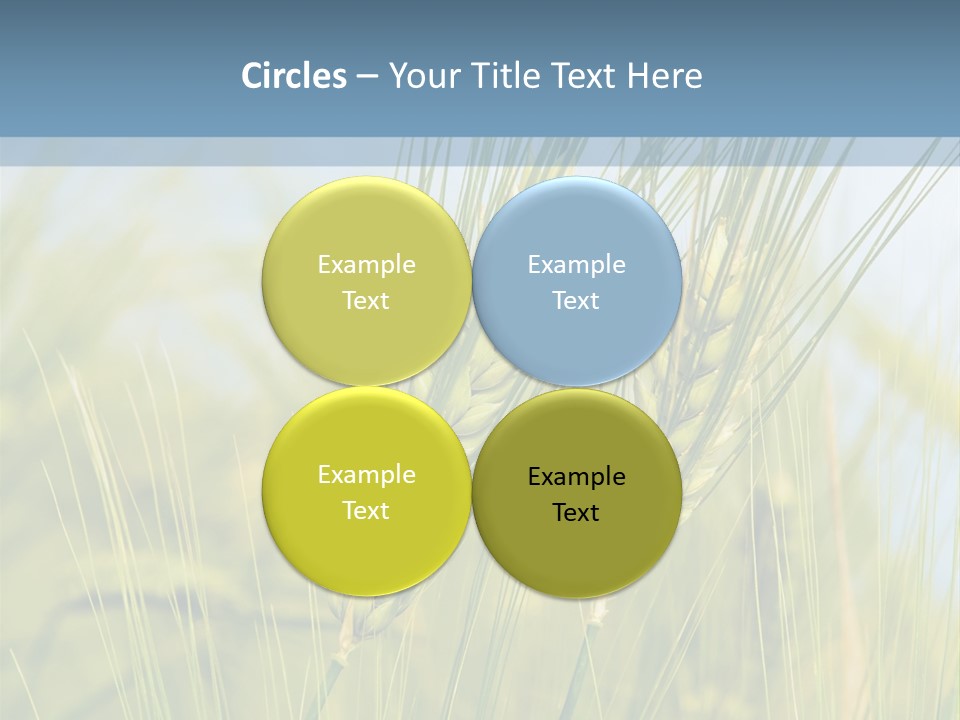 Wheat Green PowerPoint Template