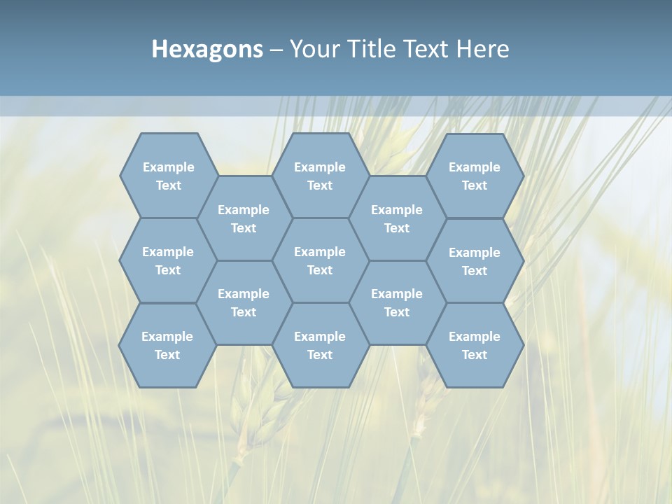 Wheat Green PowerPoint Template