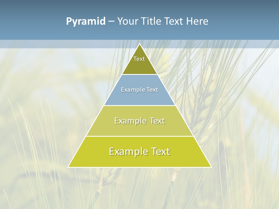 Wheat Green PowerPoint Template