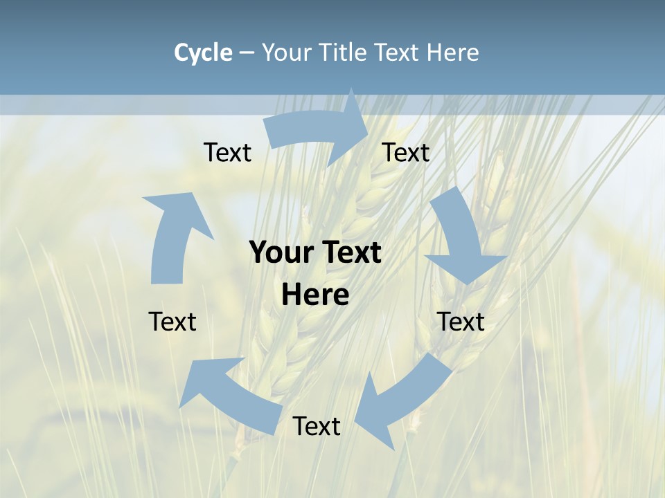 Wheat Green PowerPoint Template