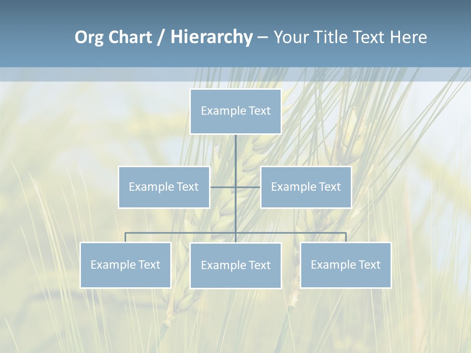 Wheat Green PowerPoint Template