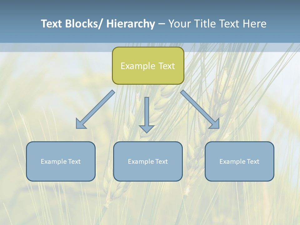 Wheat Green PowerPoint Template