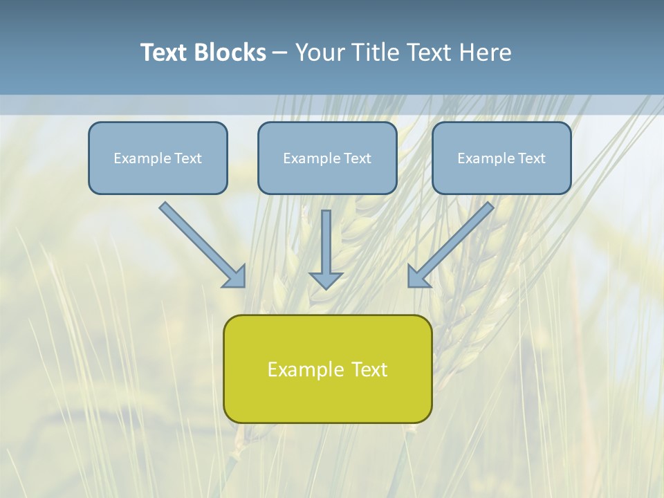 Wheat Green PowerPoint Template
