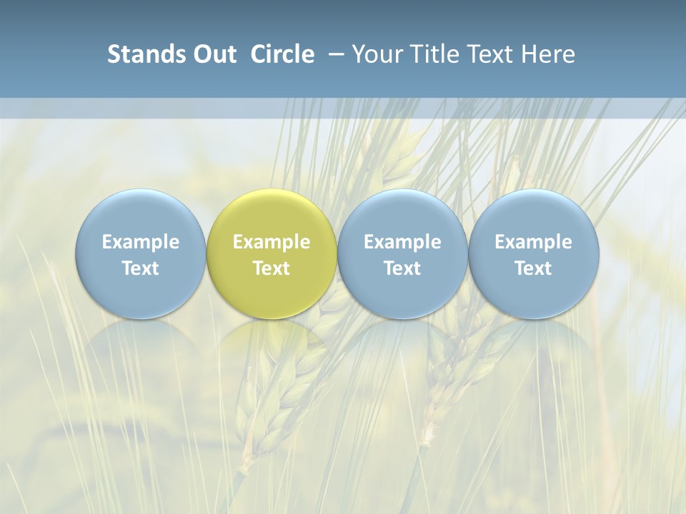 Wheat Green PowerPoint Template