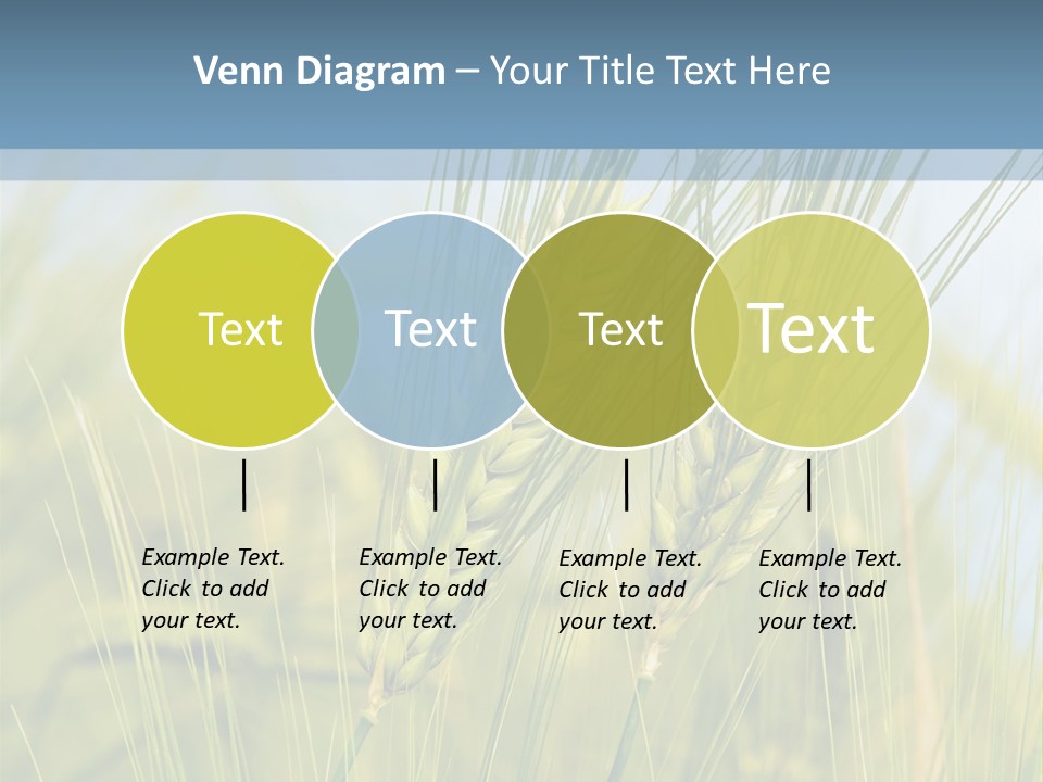 Wheat Green PowerPoint Template