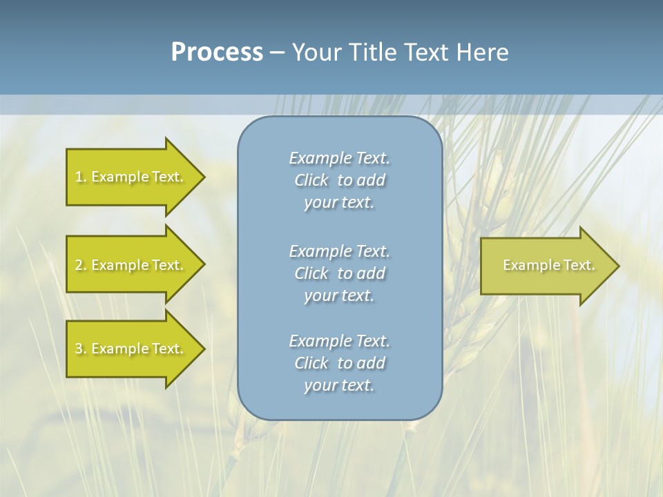 Wheat Green PowerPoint Template