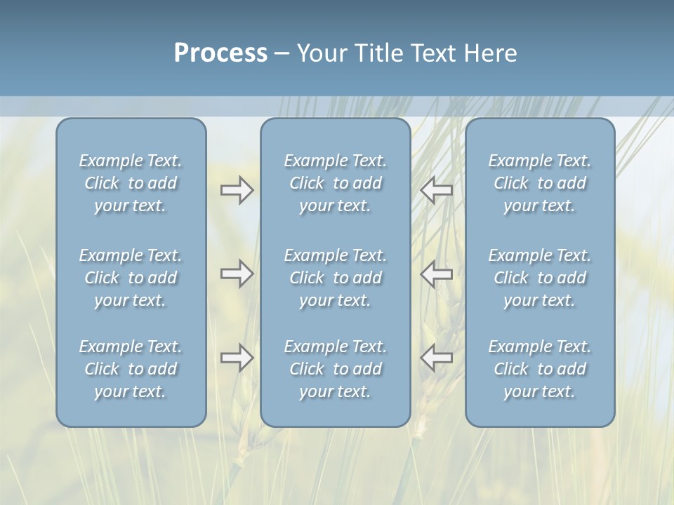 Wheat Green PowerPoint Template