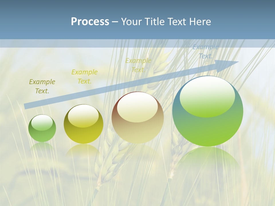 Wheat Green PowerPoint Template